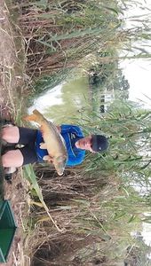 Mirror Carp
