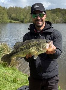 Largemouth Bass