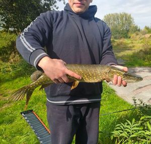 Northern Pike