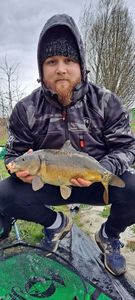 Mirror Carp