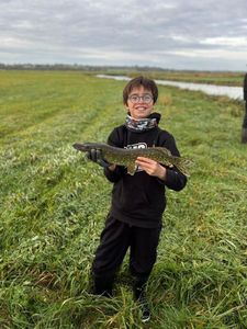 Northern Pike