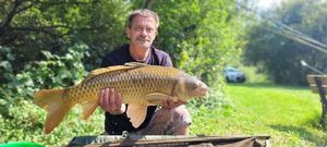 Common Carp