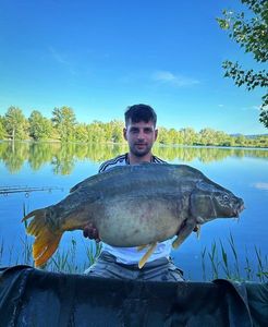 Mirror Carp