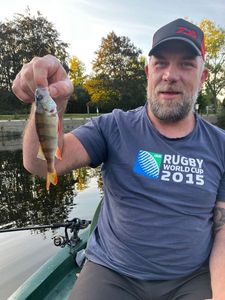 European Perch