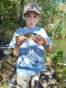 European Perch