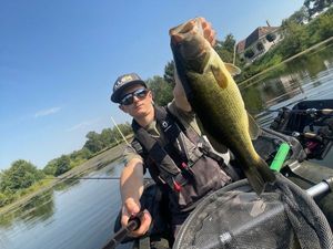 Largemouth Bass