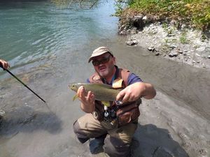 Grayling