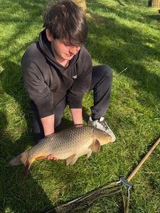 Common Carp