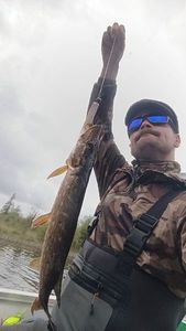 Northern Pike