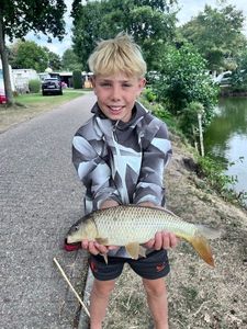 Common Carp