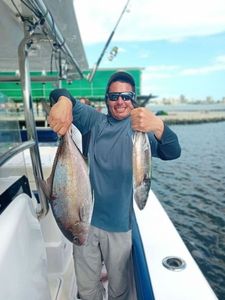 Greater Amberjack