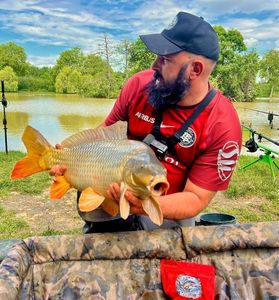 Common Carp