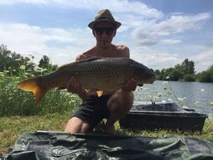 Common Carp