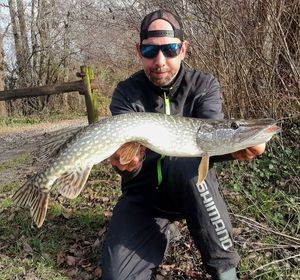 Northern Pike