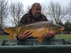 Mirror Carp