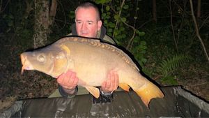 Mirror Carp