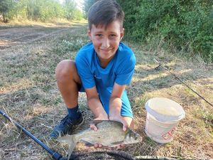 Common Bream