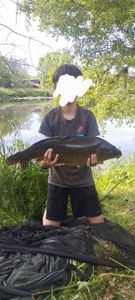 Common Carp