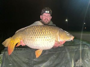 Common Carp