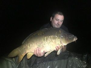 Mirror Carp