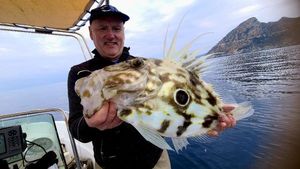 John Dory