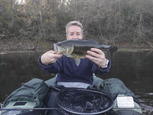 Largemouth Bass