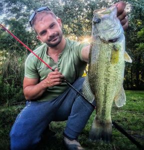 Largemouth Bass