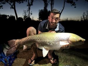 Grass Carp