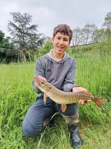 Northern Pike