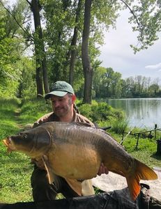 Mirror Carp