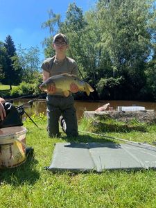 Mirror Carp