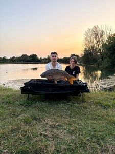 Mirror Carp
