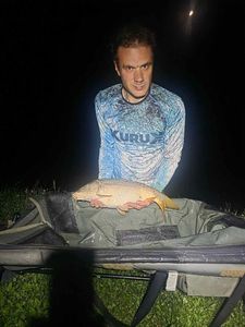 Mirror Carp