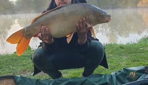 Leather Carp