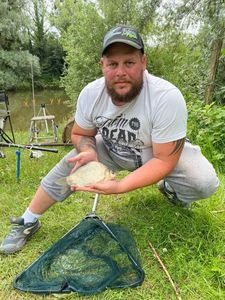 Crucian Carp