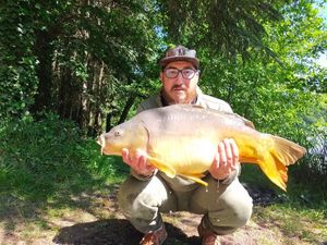 Mirror Carp