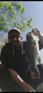 Smallmouth Bass