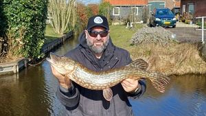 Northern Pike