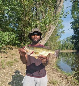 Largemouth Bass