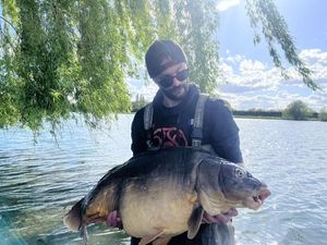 Mirror Carp