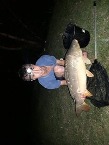 Mirror Carp
