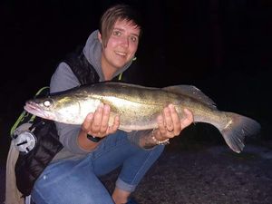 Zander