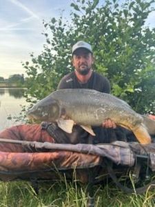 Mirror Carp