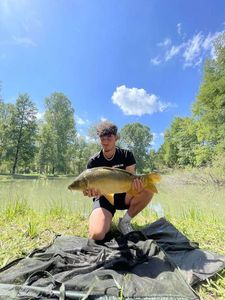 Carpe Miroir