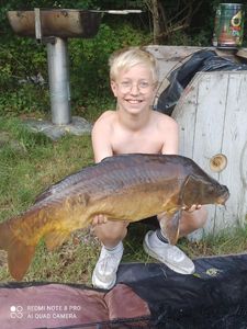 Mirror Carp