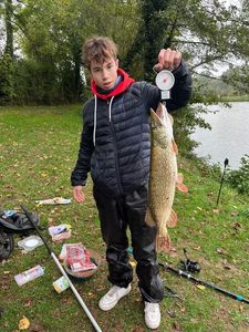 Northern Pike