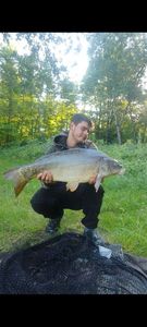 Mirror Carp