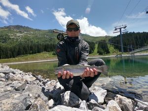 Rainbow Trout