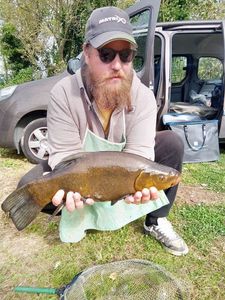Tench