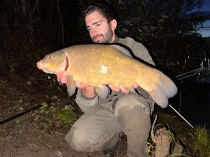 Tench